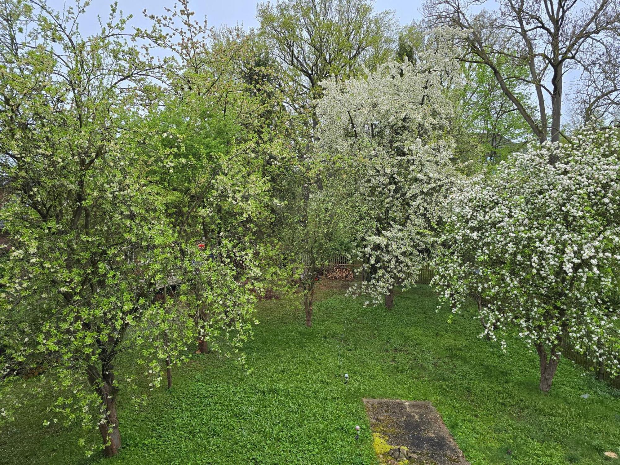 Villa Kuechwald Chemnitz Kültér fotó