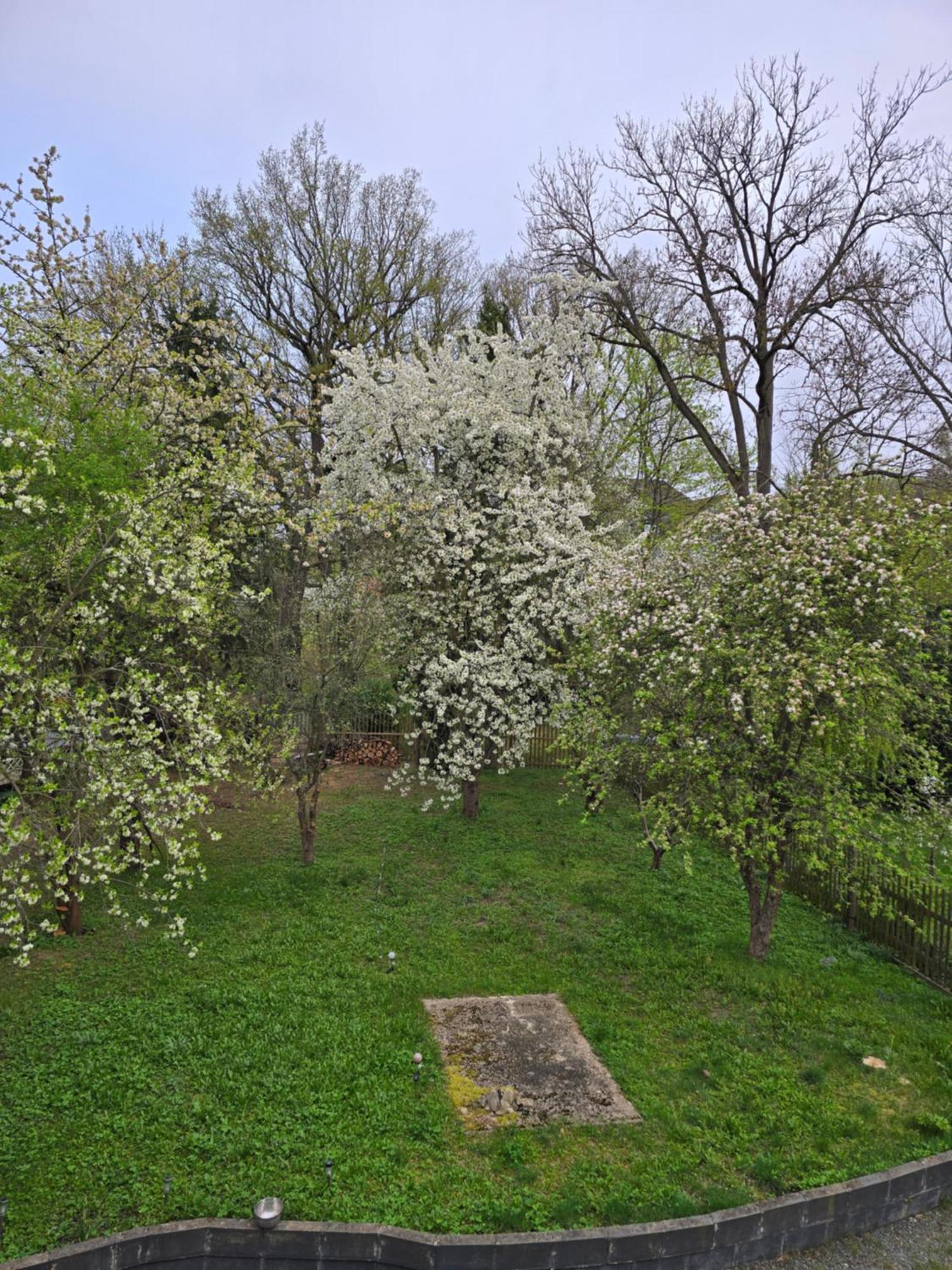 Villa Kuechwald Chemnitz Kültér fotó