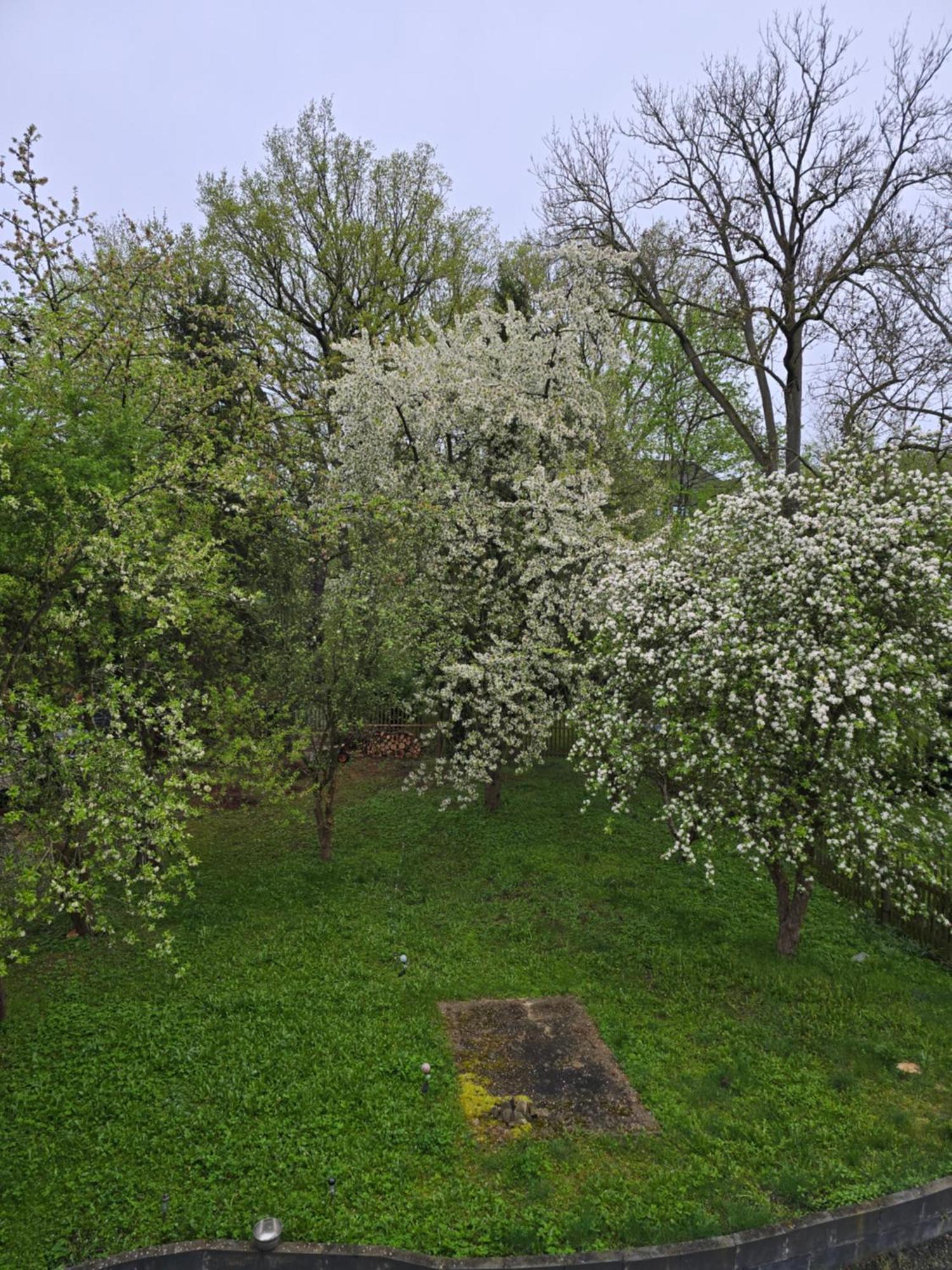 Villa Kuechwald Chemnitz Kültér fotó